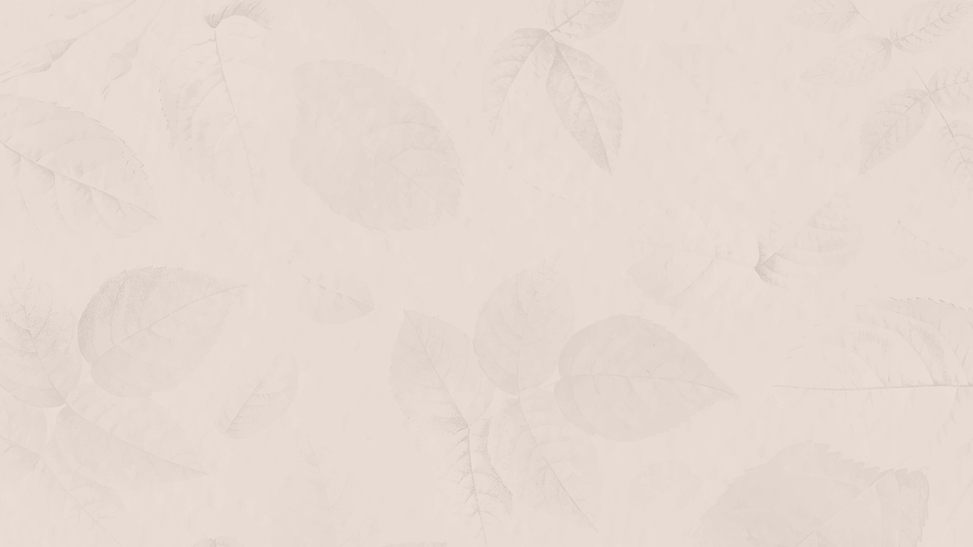 新着情報