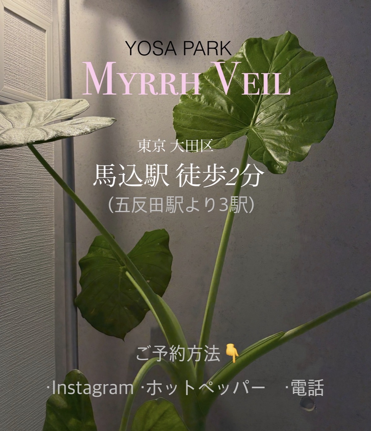 お問い合わせ・ご予約